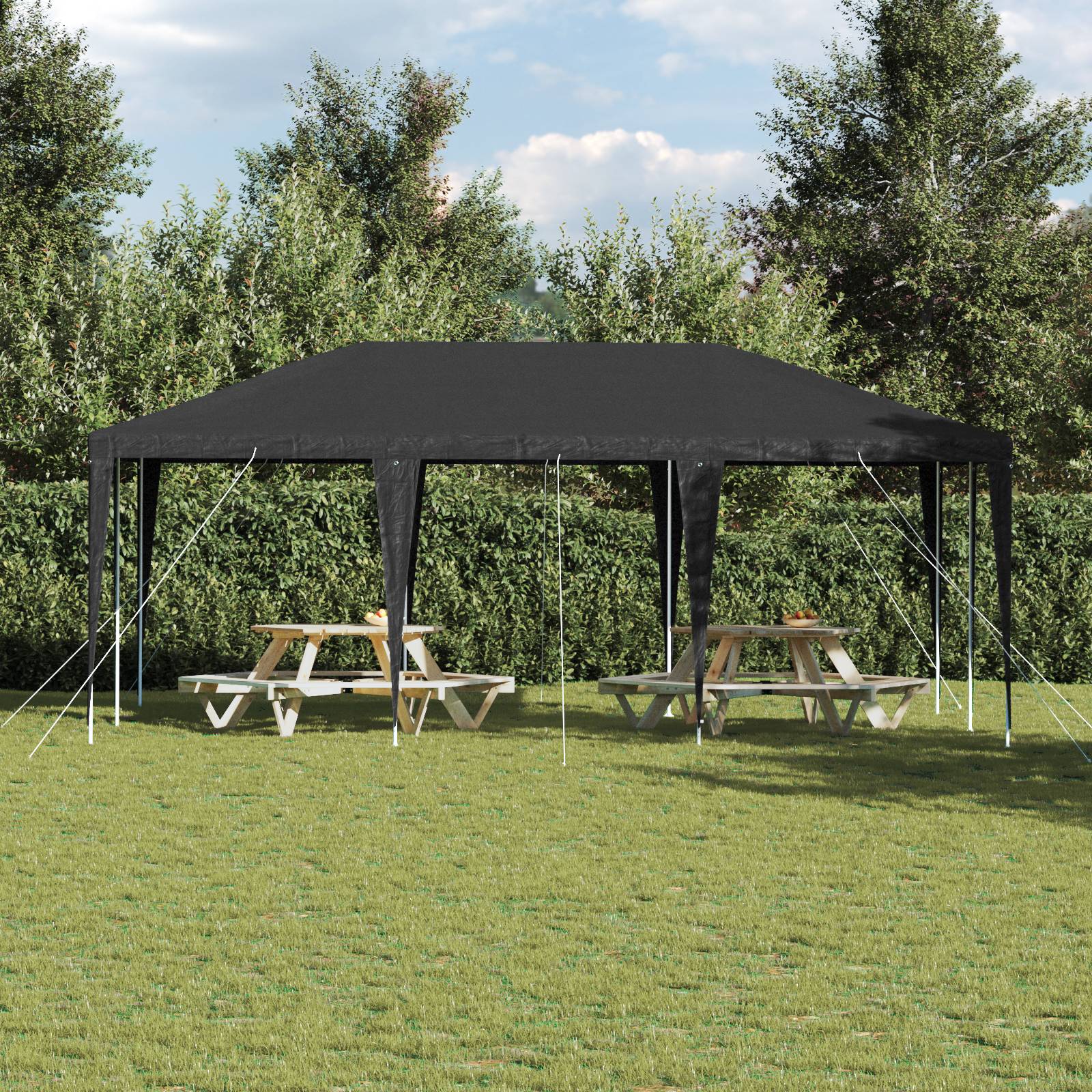 vidaXL Party Zelt Anthrazit 6x4 m PE