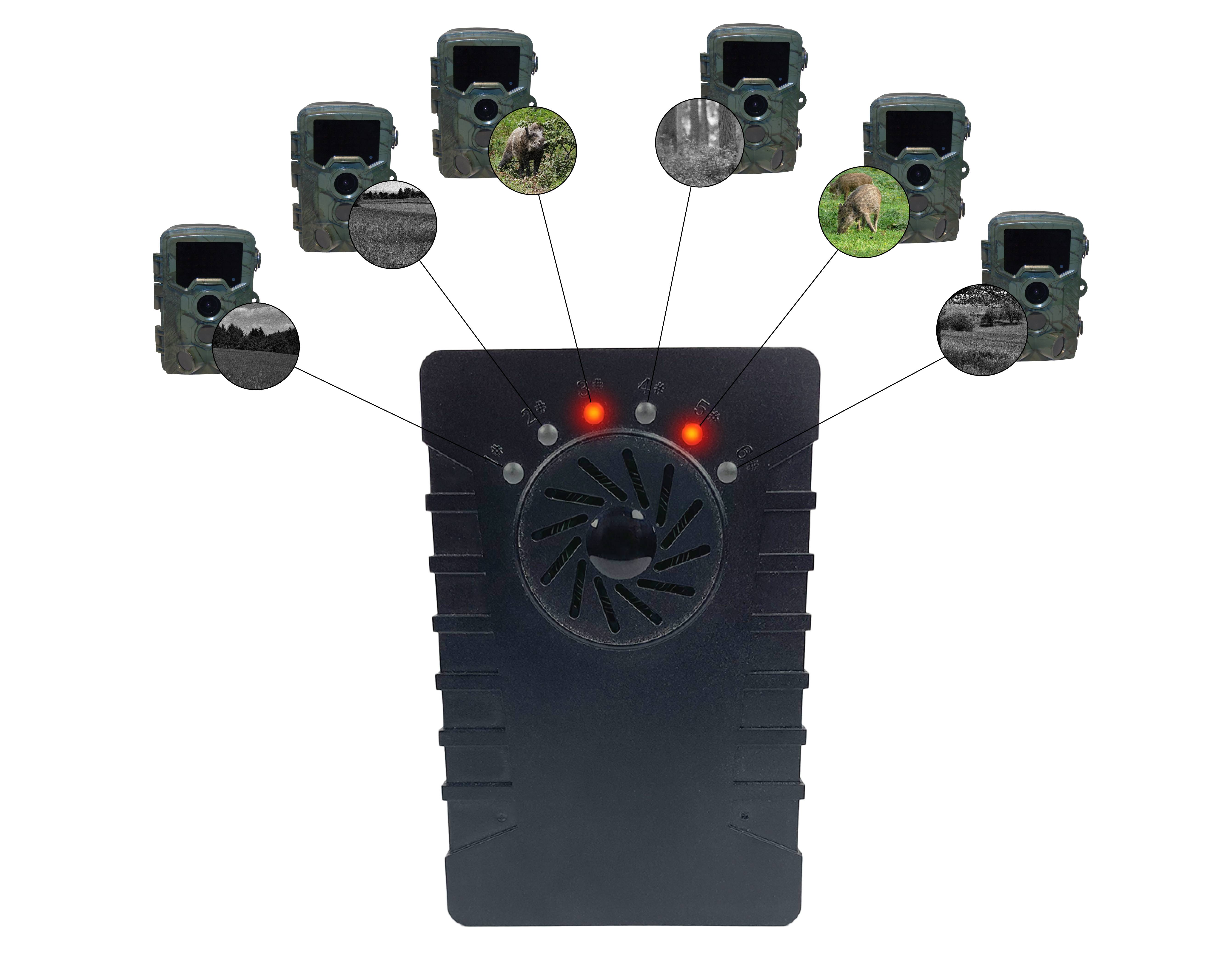 Berger & Schröter | Empfänger für 4K Wildkamerera/Melder mit Ton und LED Meldung bis zu 100m