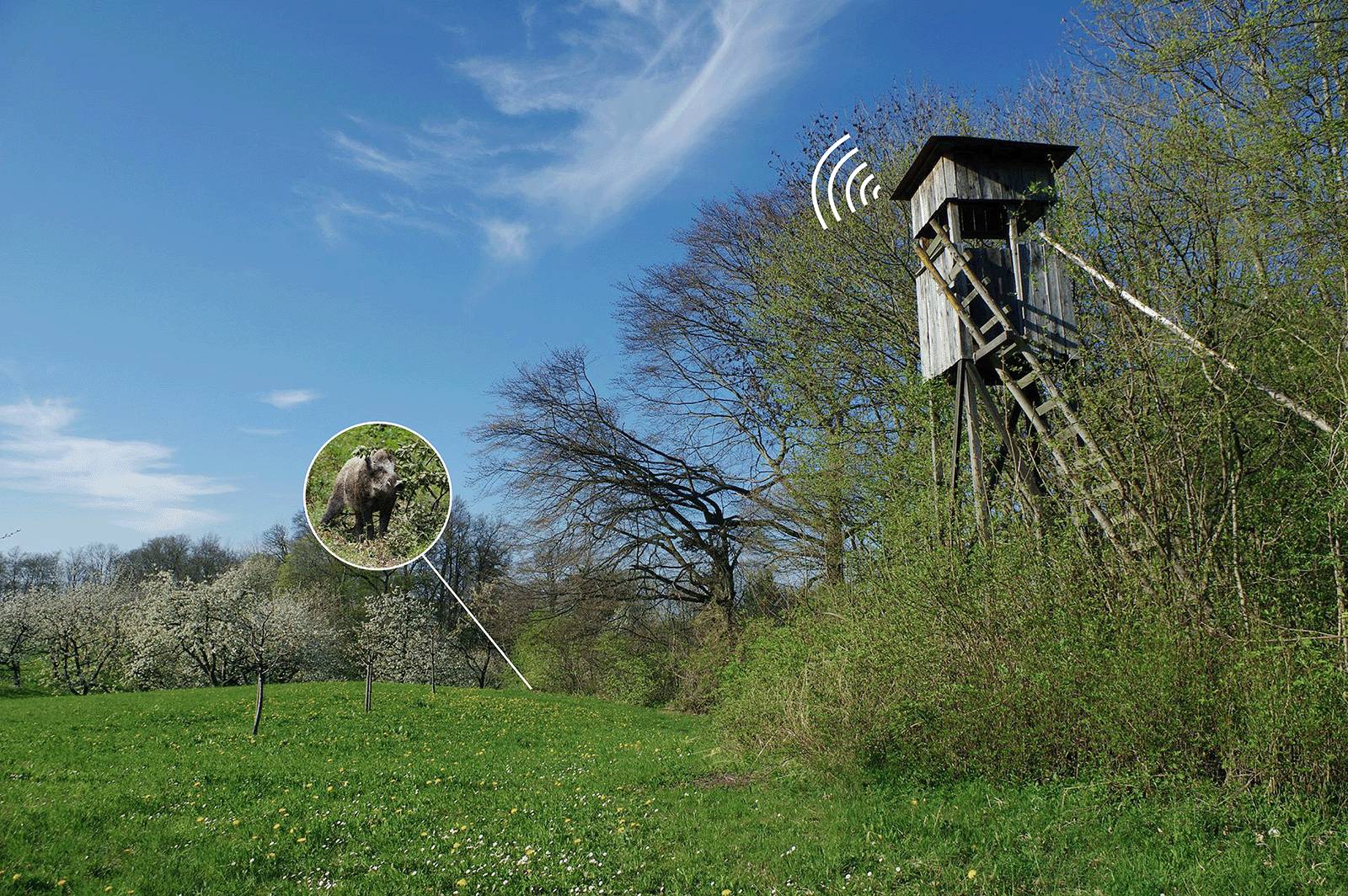 Berger & Schröter | 3x 4K Wildkamera / Melder + Empfänger Set, Ton oder LED Meldung bis 100m, 6 Wildkameras kombinierbar