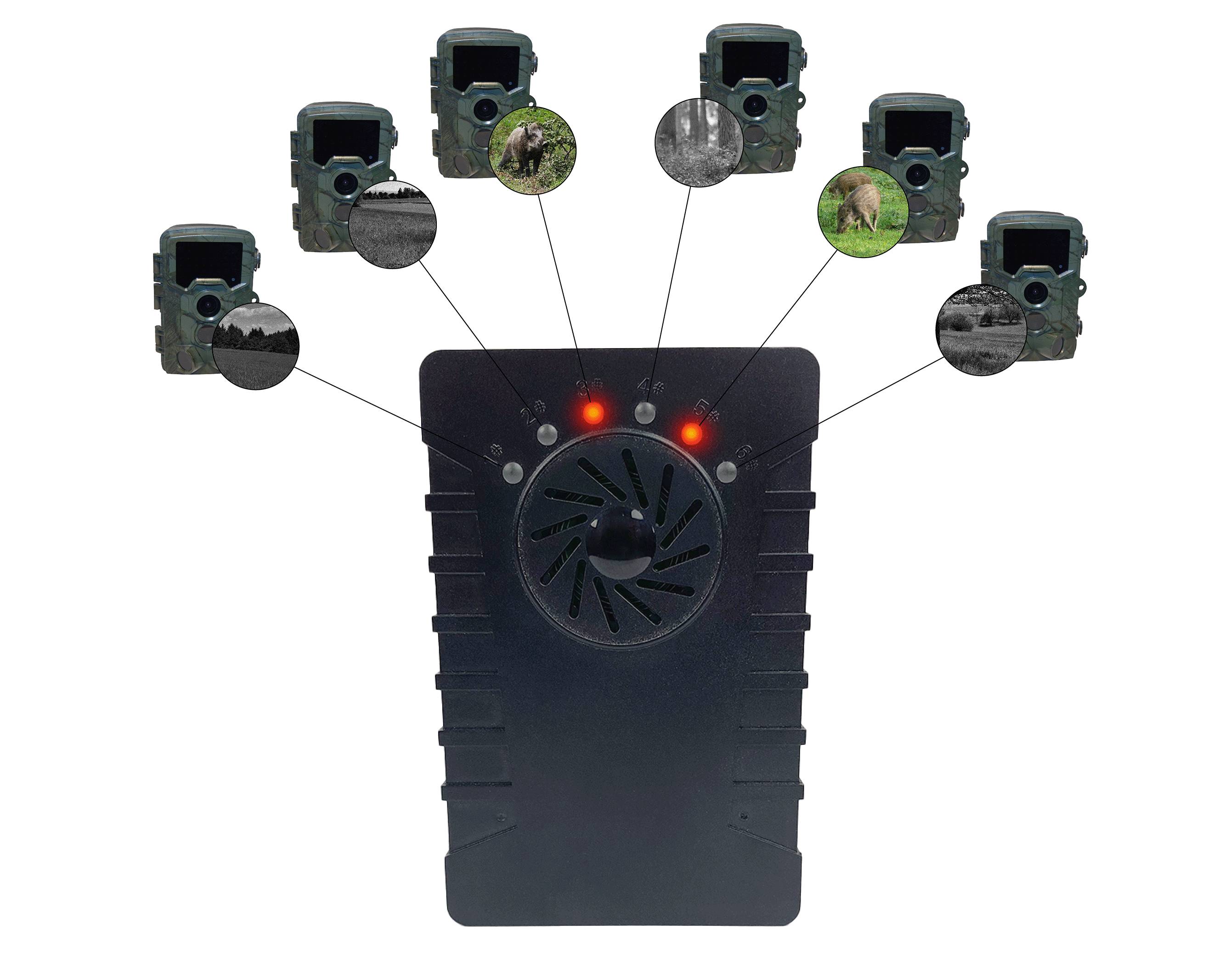 Berger & Schröter | 6x 4K Wildkamera / Melder + Empfänger Set, Ton oder LED Meldung bis 100m, 6 Wildkameras kombinierbar