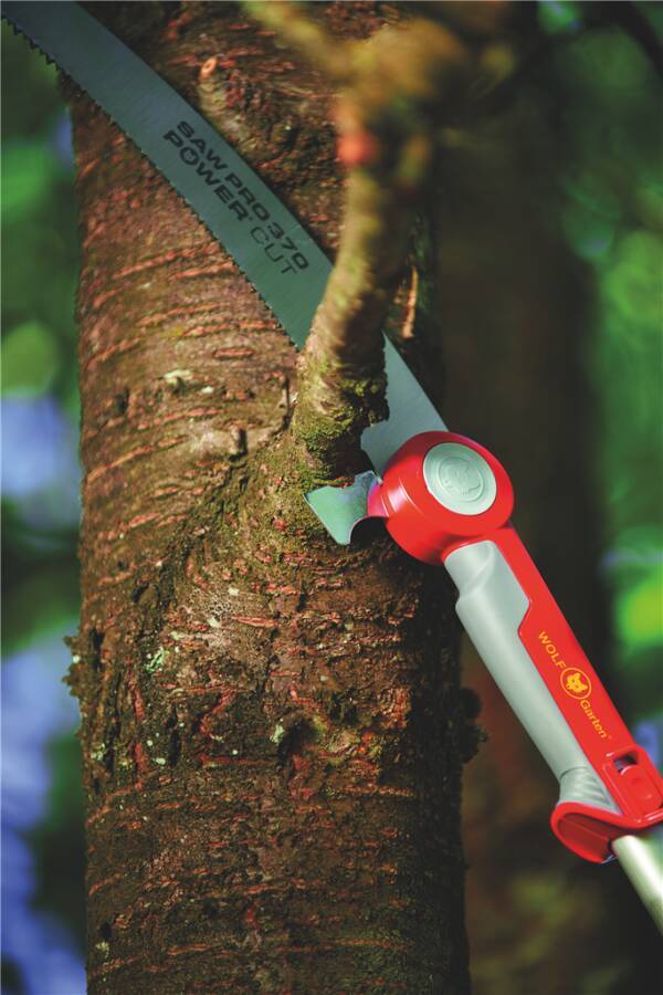 Astsäge multi-star® 71BCA003650