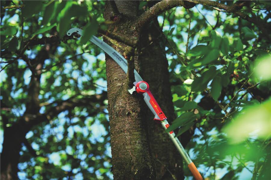 Astsäge multi-star® 71BCA003650