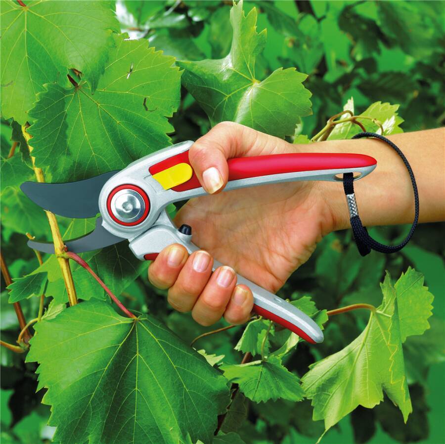 Bypass-Gartenschere Alu Profi 73AFA006650 Schneidbereich Gehölz bis Ø 25 mm