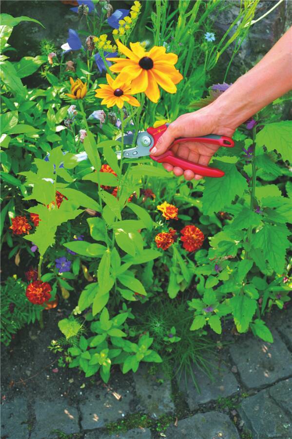 Amboss-Gartenschere Comfort Plus 73CFA003650 Schneidbereich Gehölz bis Ø 25 mm