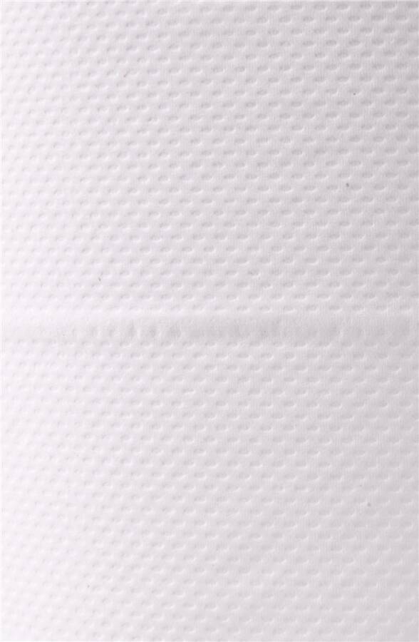 Handtuchrolle 8982610 Farbe weiß Ausführung 2-lagig Maße 20 cm x 160 m Blattmaß 20 x 35 cm Typ Basic Blattanzahl 450 Ker