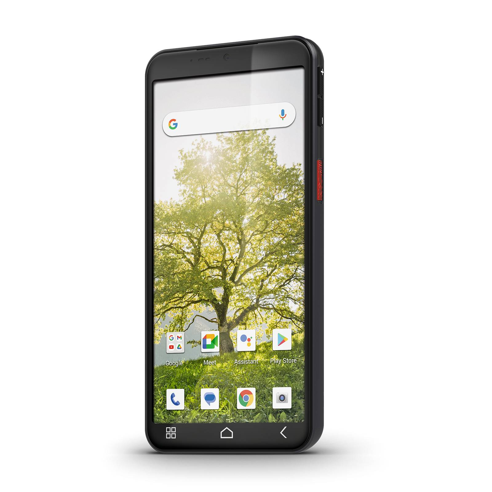 Schwarzes Smartphone mit einem Android-Startbildschirm, Baum-Hintergrundbild, Google-Suchleiste und App-Symbolen am unteren Rand.