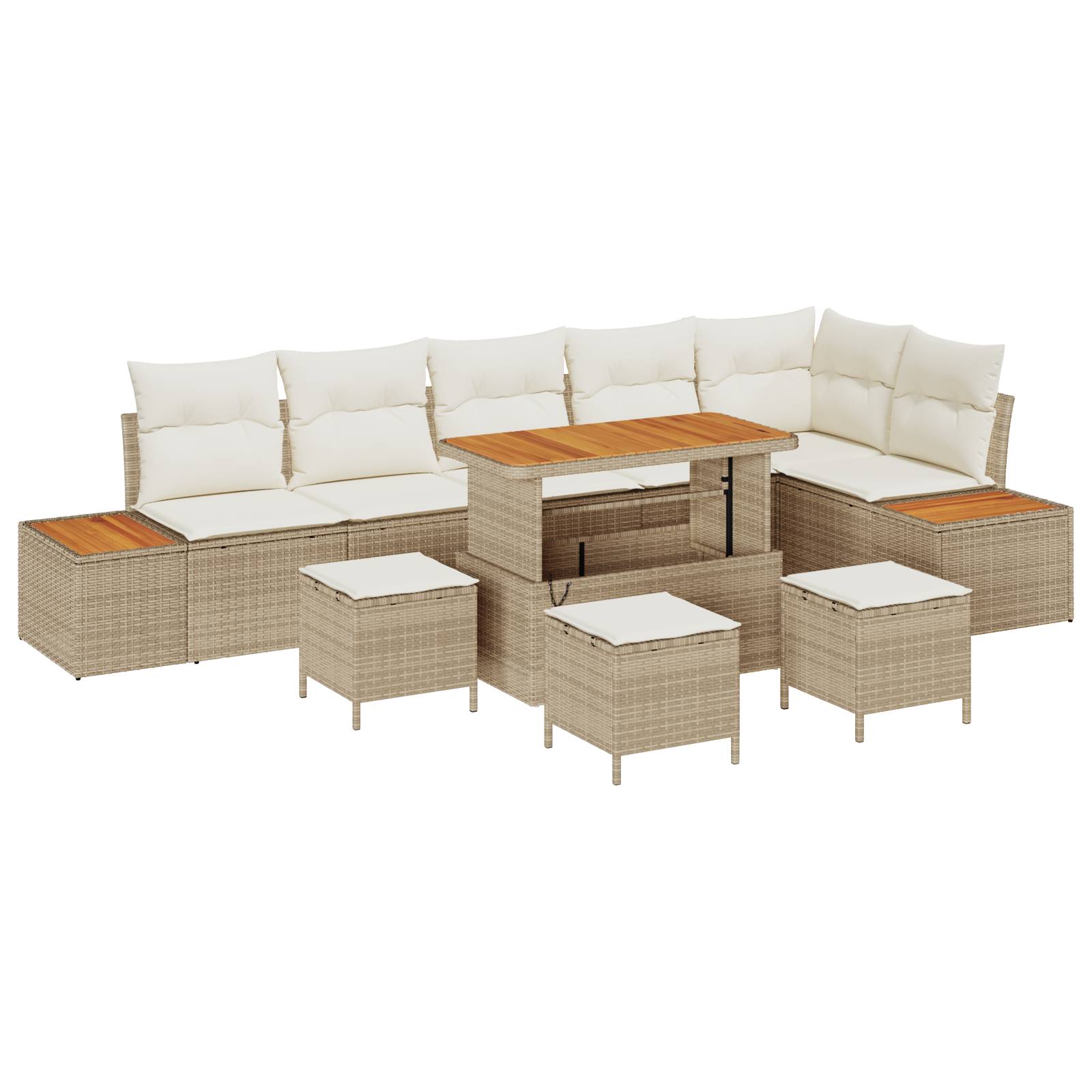 vidaXL 10-teiliges Garten Sofa Set mit Kissen Beige Poly Rattan Akazie