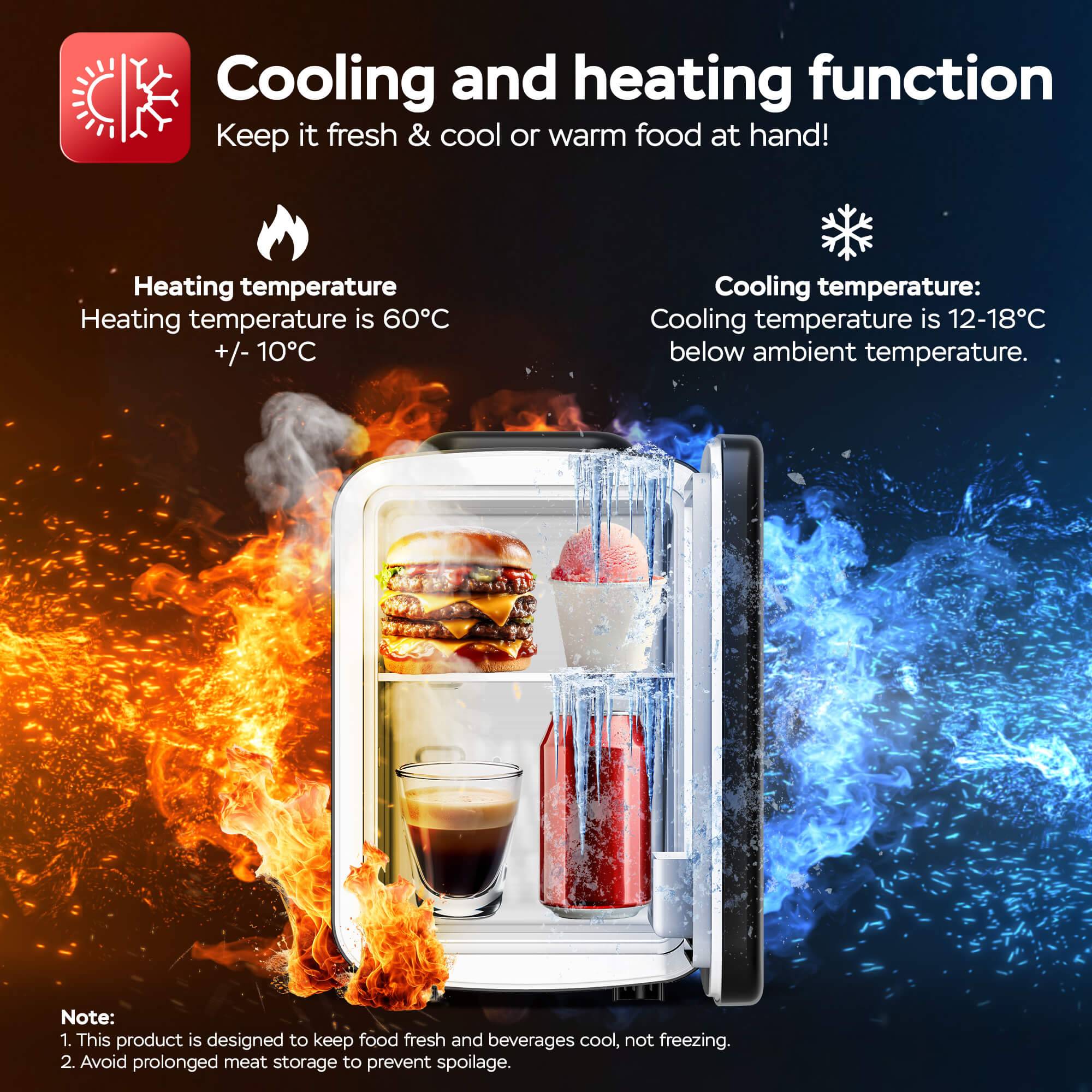 TurboTronic 2in1 Mini Kühlschrank Kühlbox 4 L Kühl & Heizfunktion tragbarer AC DC 220-240V/12V Steckdose und Zigarettenanzünder Warmhaltebox Therm