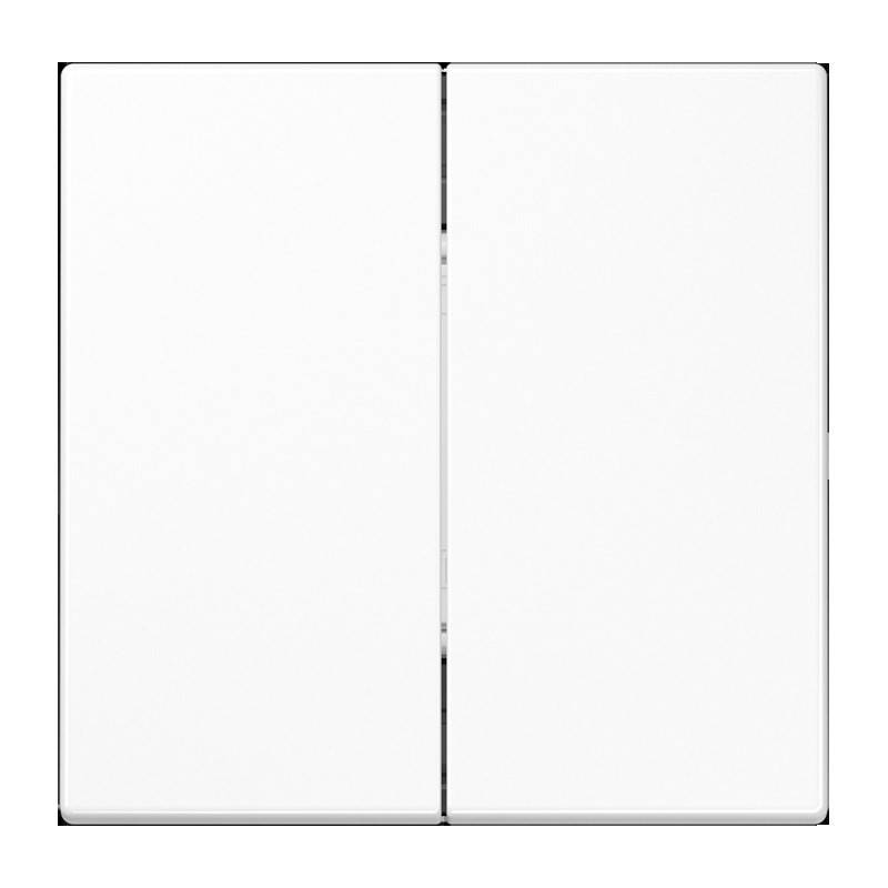 Jung Matter Taster 2f MAT LS 995 WW