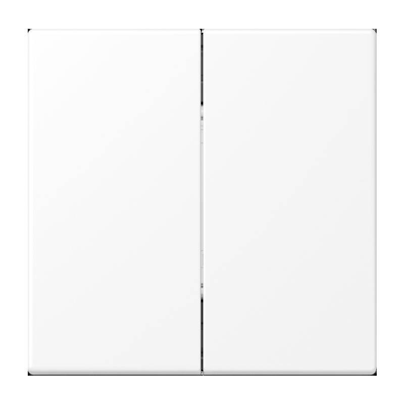 Jung Matter Taster 2f 4k MAT LS 995 WWM