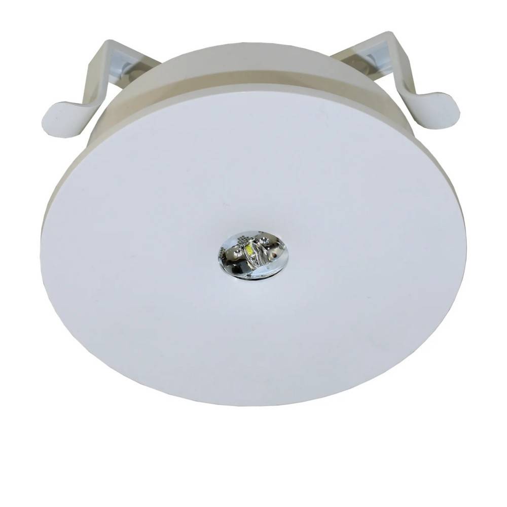 RP-Technik Sicherheitsleuchte ILEL029ML