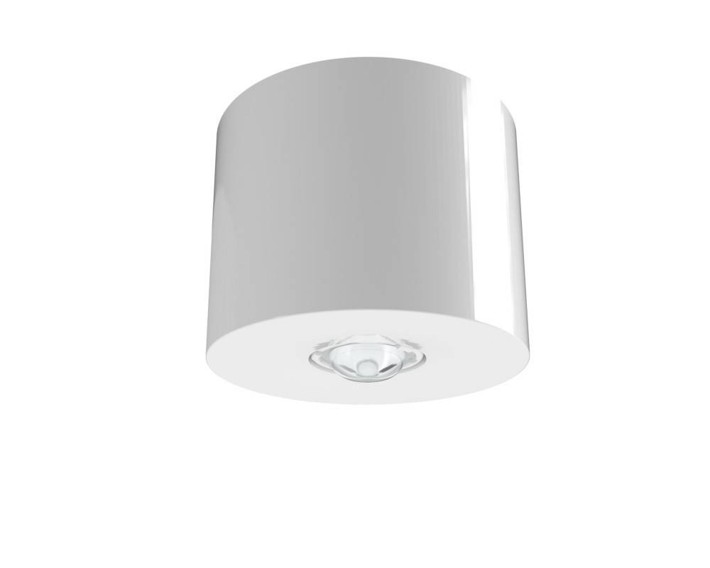 RP-Technik Sicherheitsleuchte IADL529CC