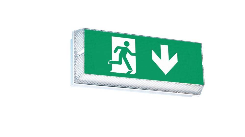 RP-Technik Sicherheitsleuchte PFW413SC-P-TT