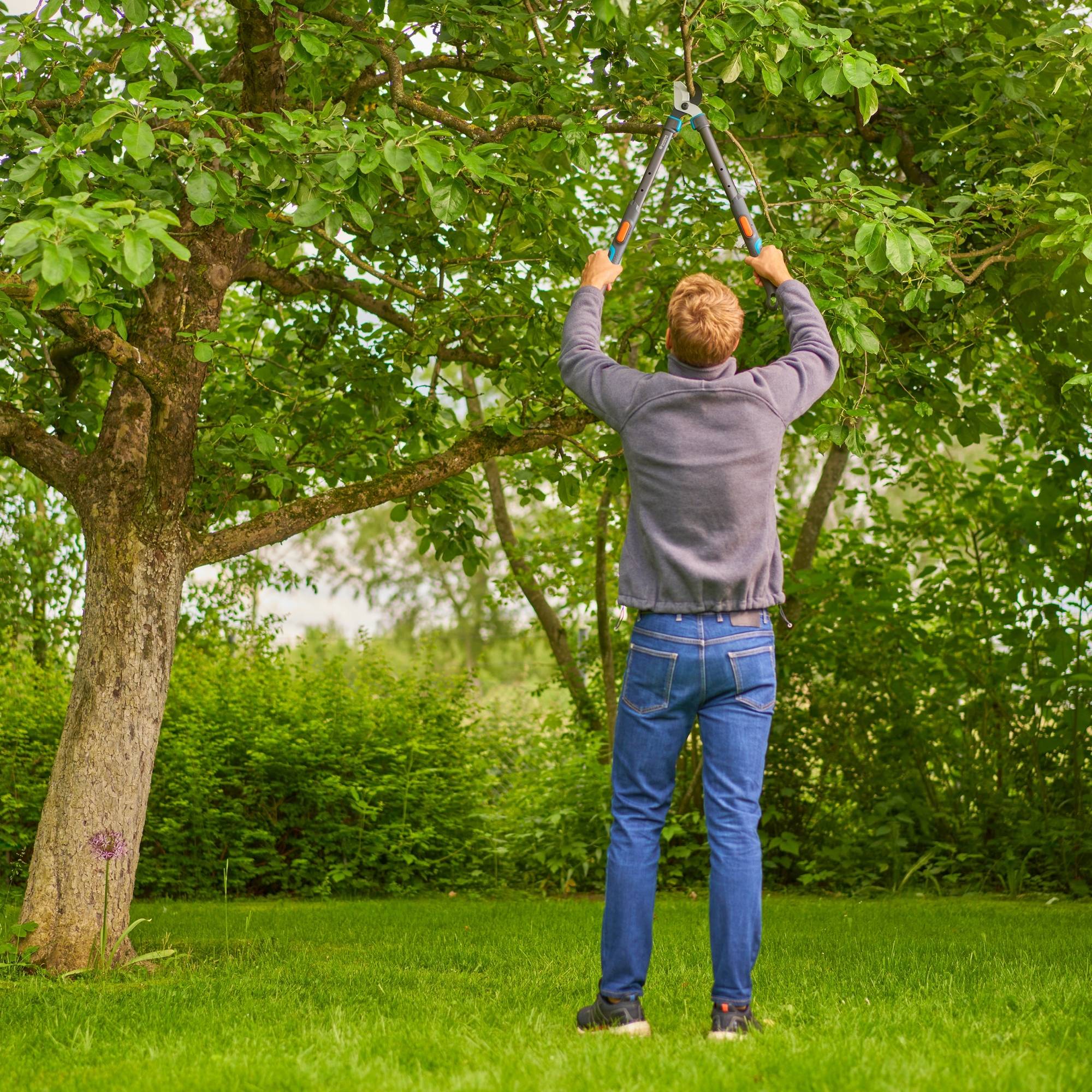 GARDENA Astschere TeleCut Pro S 12040-20