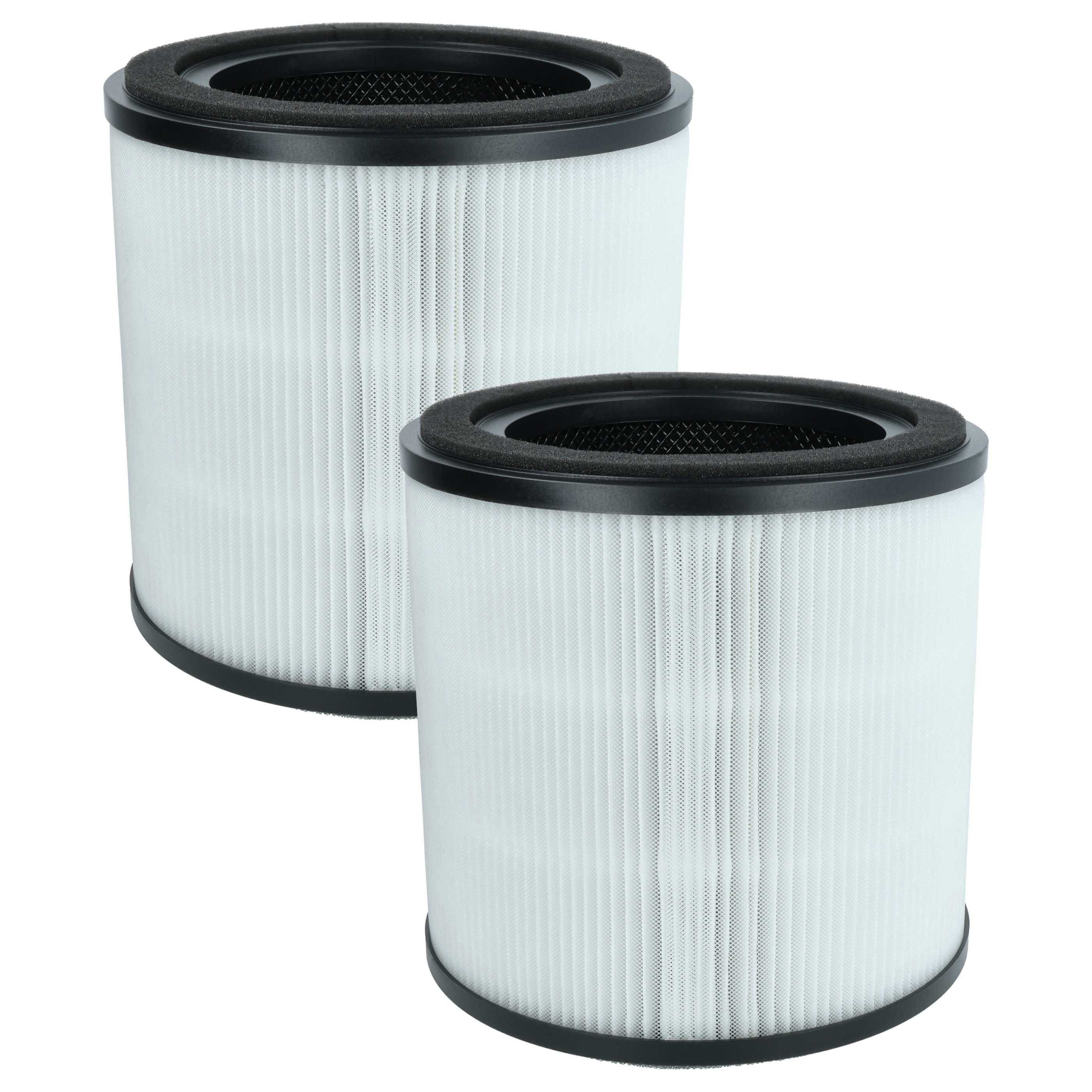 vhbw 2x H13 Filter Ersatz für AEG AFFBRZ2 | AFFCAR2 für Luftreiniger - Ersatz-Filter