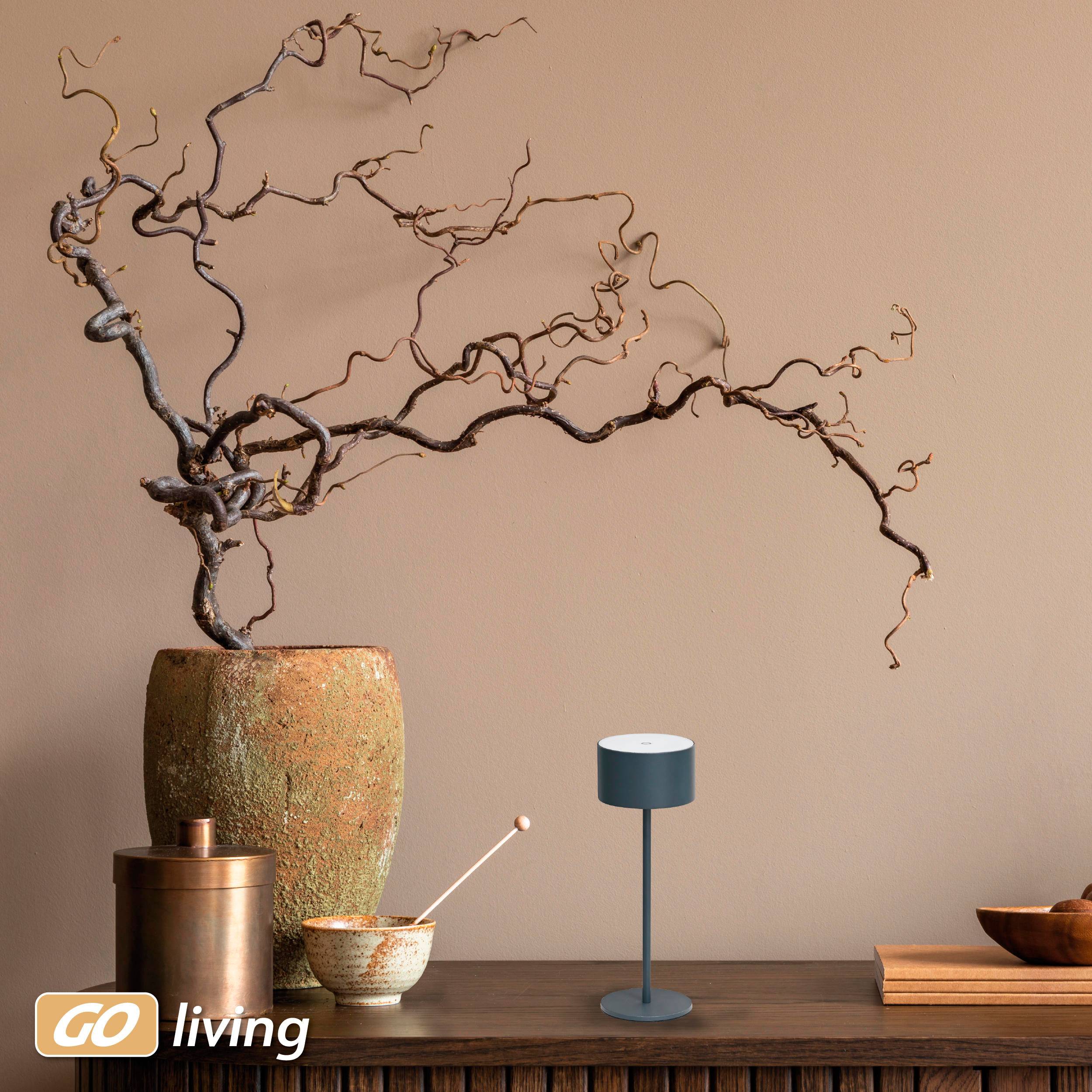 MÜLLER-LICHT LED-Akku-Tischleuchte Flora, 2 W, 110 lm, 3000 K, anthrazit