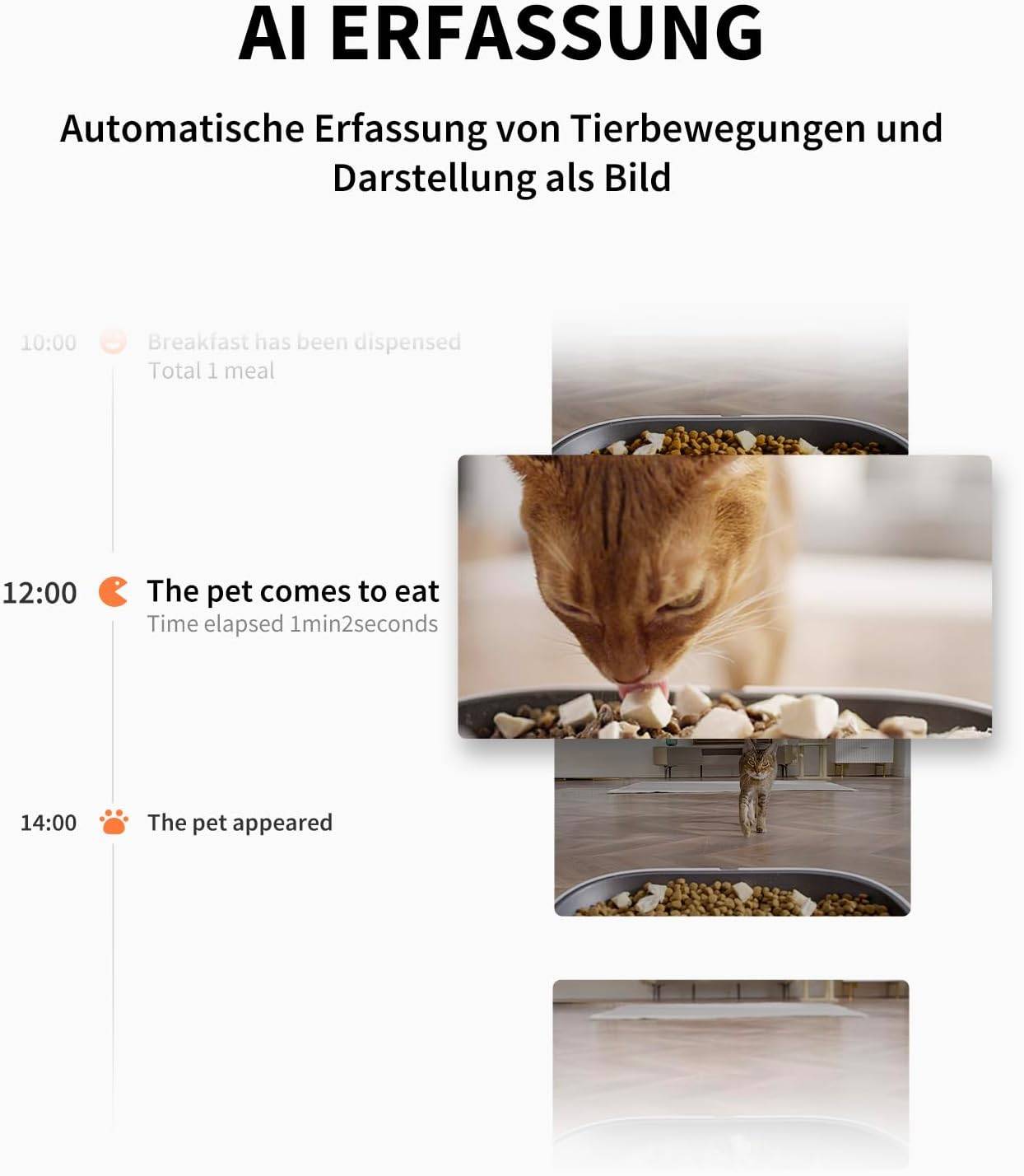 Petkit Futterautomat YumShare Dual-Hopper mit Kamera