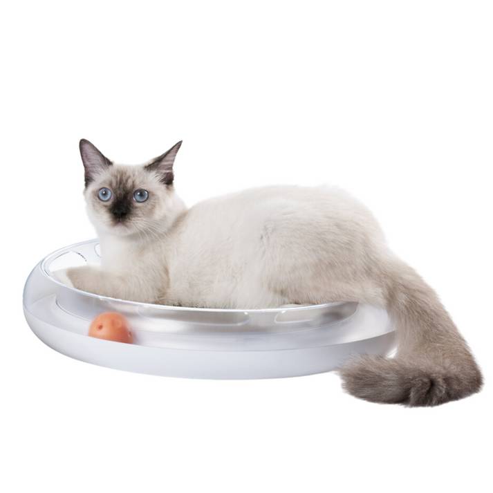 Petkit 4 in 1 Kratzspielzeug