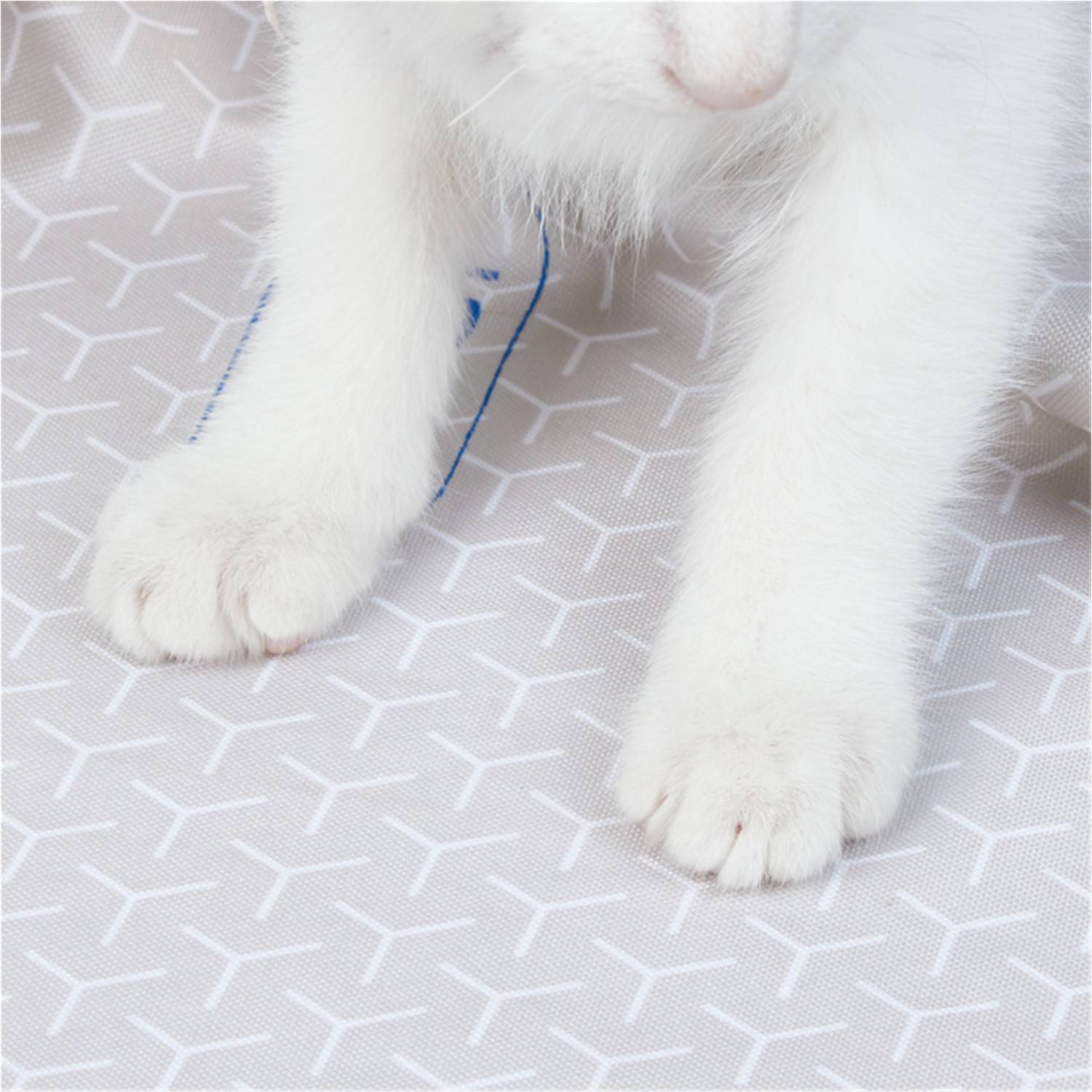 Petkit Katzenklo Purobot Ultra Unterlage