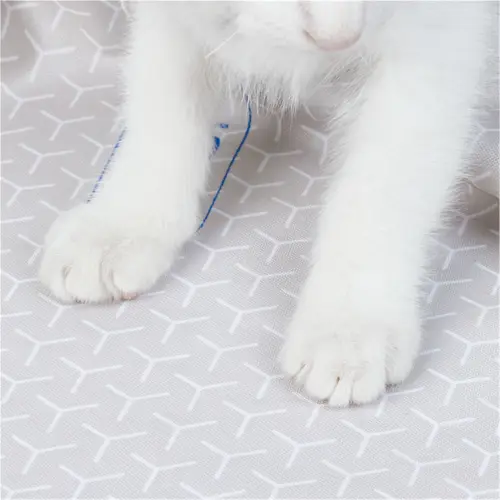 Petkit Katzenklo Purobot Ultra Unterlage Petkit Katzenklo Purobot Ultra Unterlage