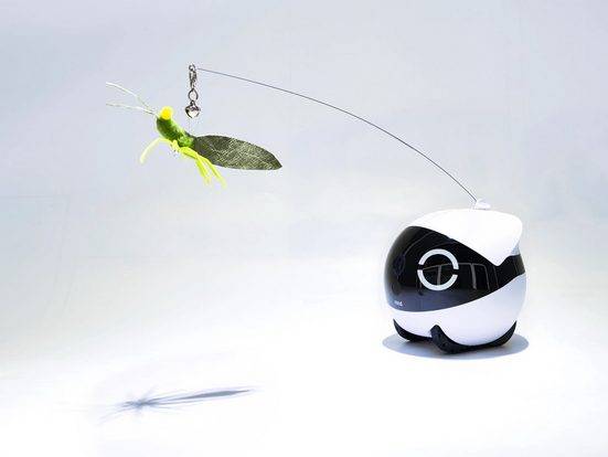 Enabot ROLA Mini Katzen Spiuelzeug / Cat Teaser