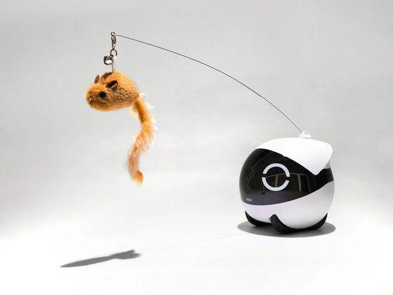 Enabot ROLA Mini Katzen Spiuelzeug / Cat Teaser