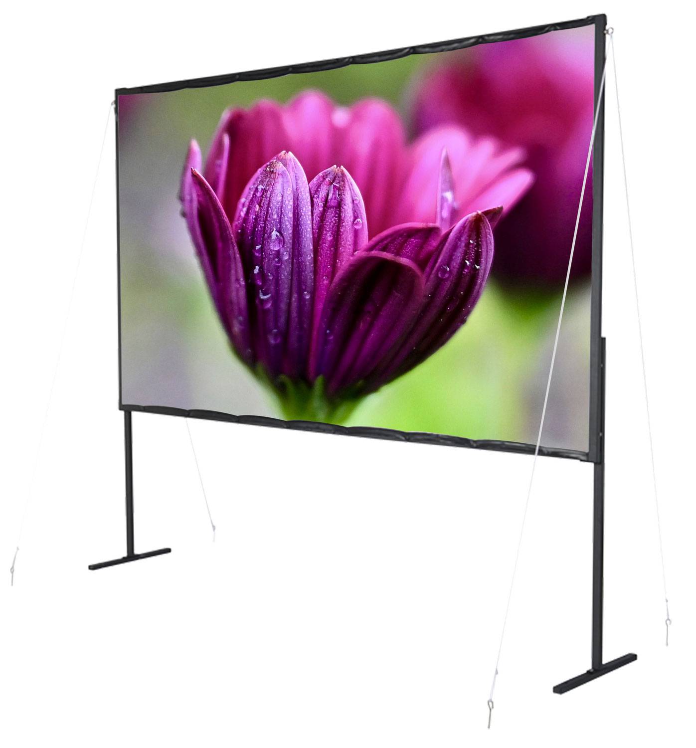 celexon basic line Faltrahmenleinwand 221 x 124 cm, 100"