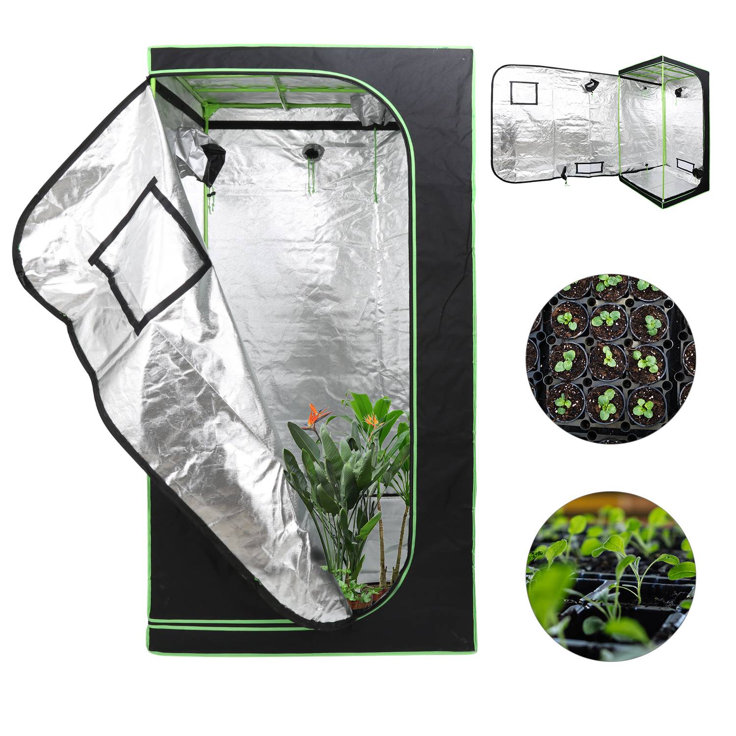Grow Zelt für Pflanzen Zuchtzelt Gewächshaus Box Garten Anzucht Gemüse Kräuter Grow Schrank Indoor 120 x 60 x 180 cm Blumen klein Tomaten