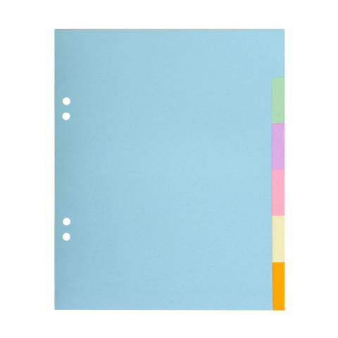 Exacompta 30x Register 17x22cm, RCkarton 170g, 6 Taben blanko sortiert - 106E