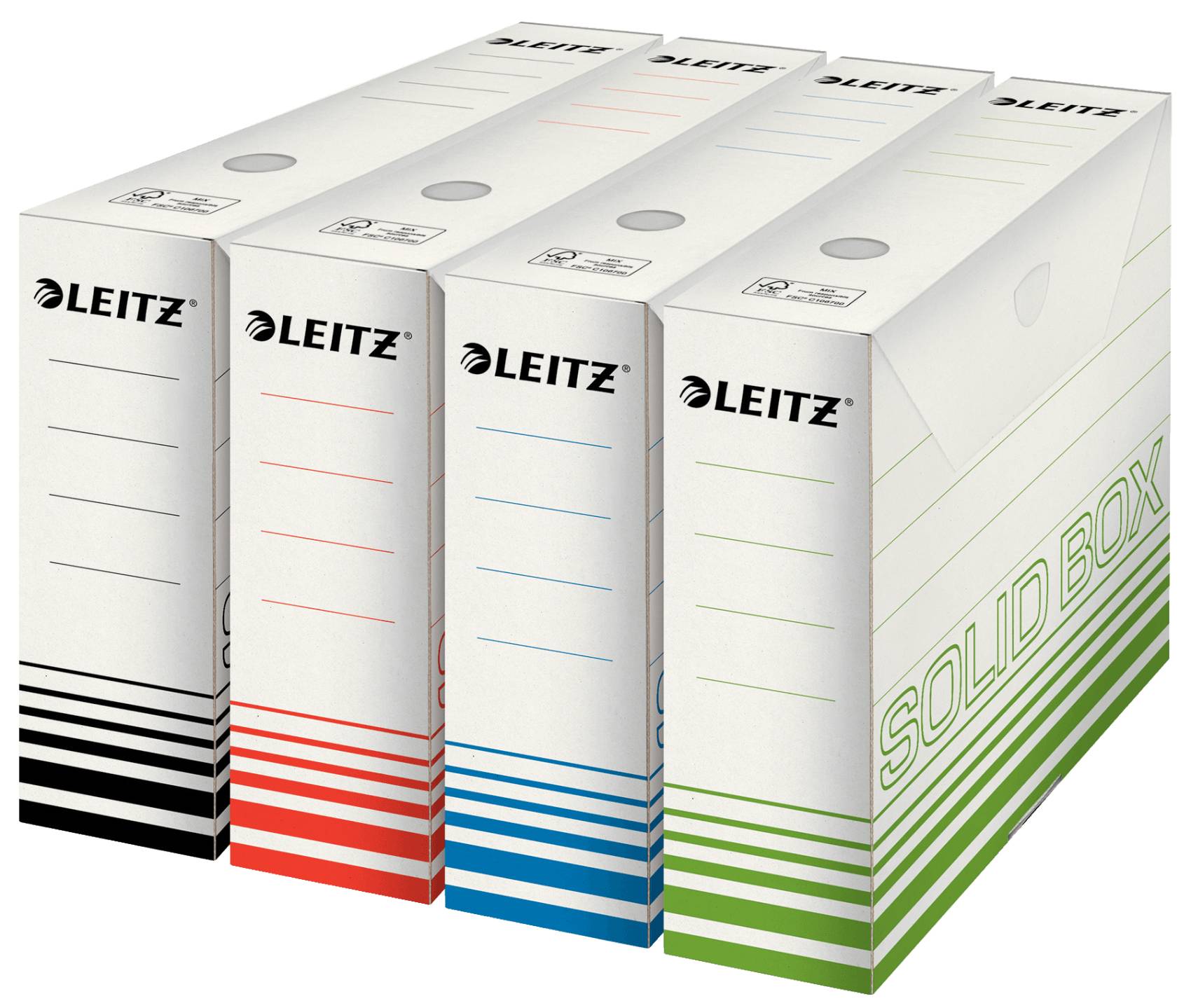 Esselte Leitz Solid Box - Aktenbox - Rückenbreite: 80 mm