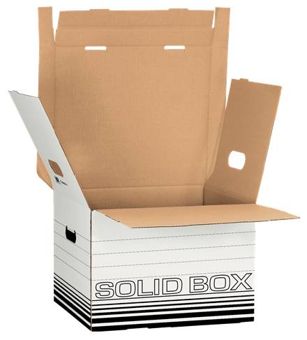 Esselte Leitz Solid M - Aufbewahrungsbox