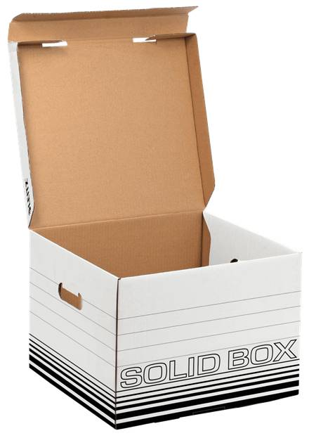Esselte Leitz Solid M - Aufbewahrungsbox