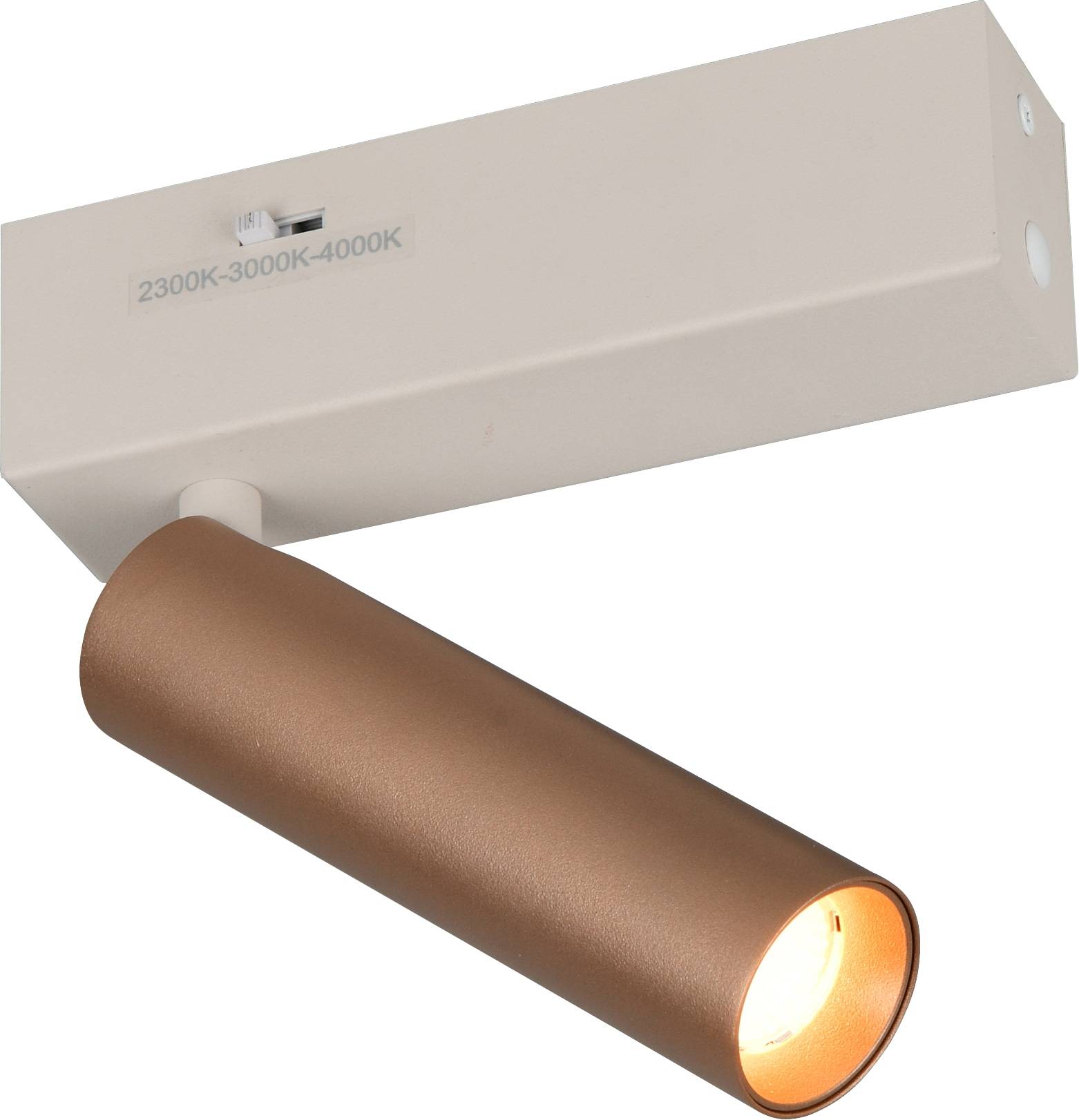 TRIO LED-Spotleuchte AMBALA, 849210165, 5 W, 500 lm, coffee