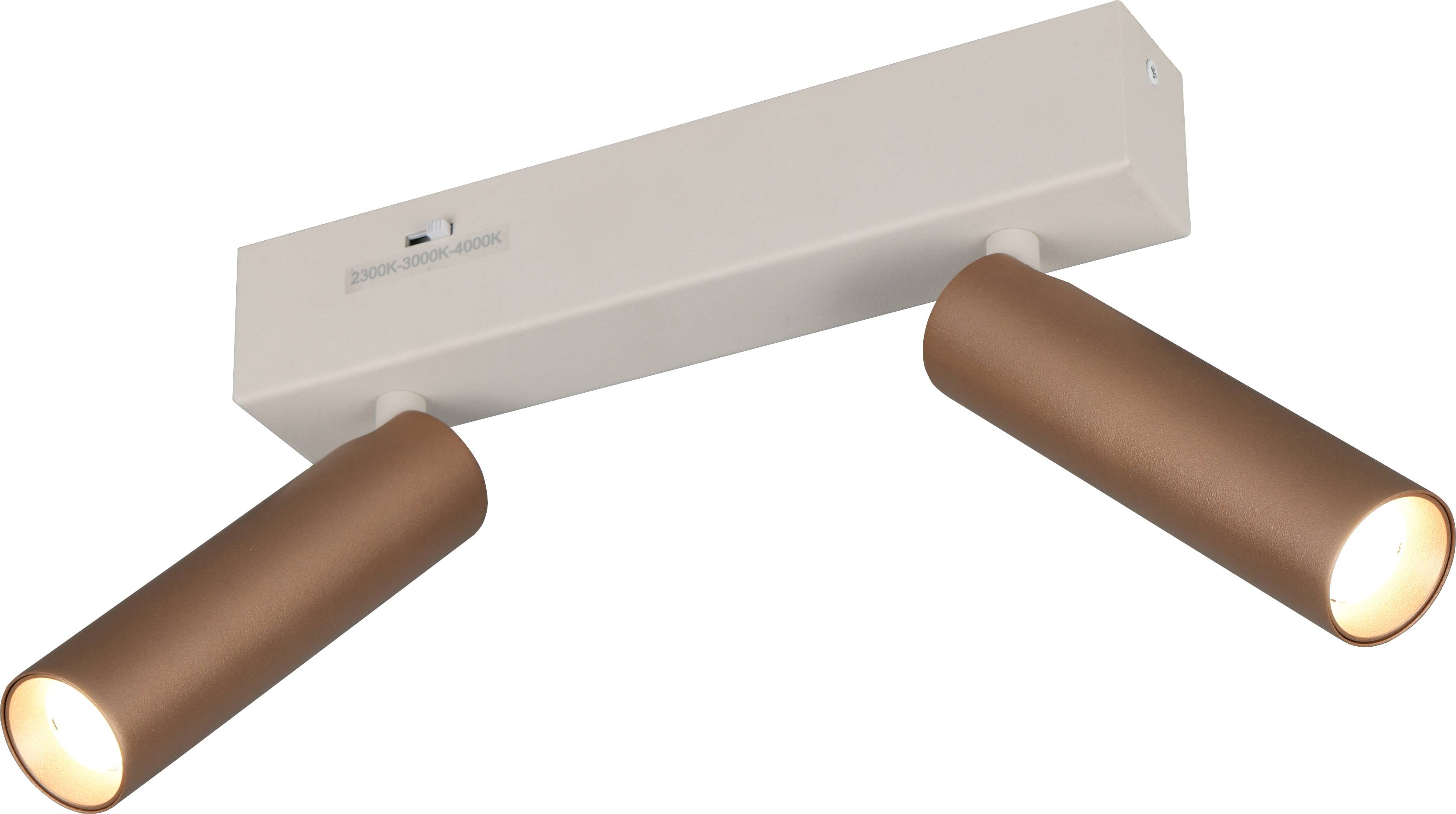 TRIO LED-Spotleuchte AMBALA, 849210265, 2-fach, 2x 5,5 W, 2x 500 ml, coffee