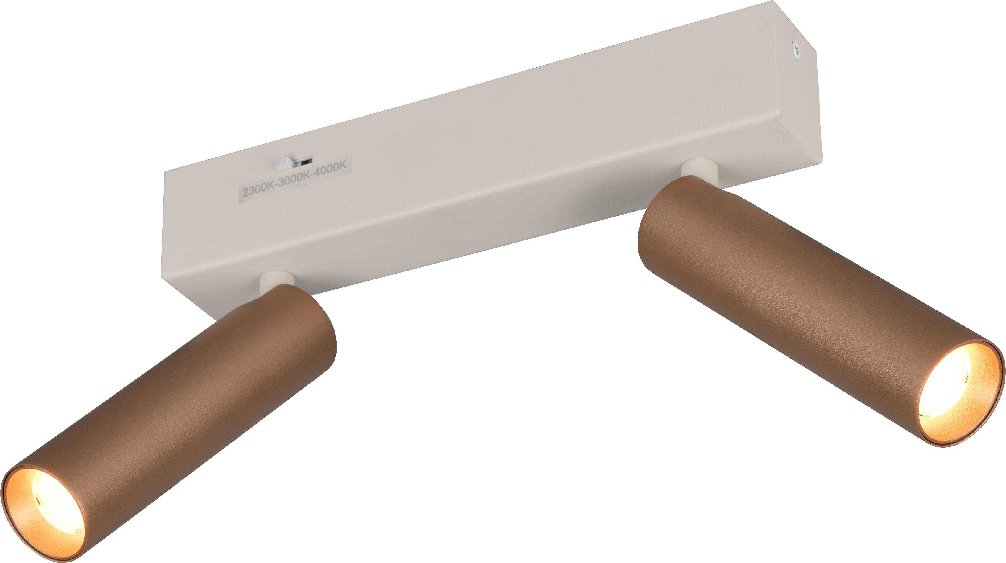 TRIO LED-Spotleuchte AMBALA, 849210265, 2-fach, 2x 5,5 W, 2x 500 ml, coffee