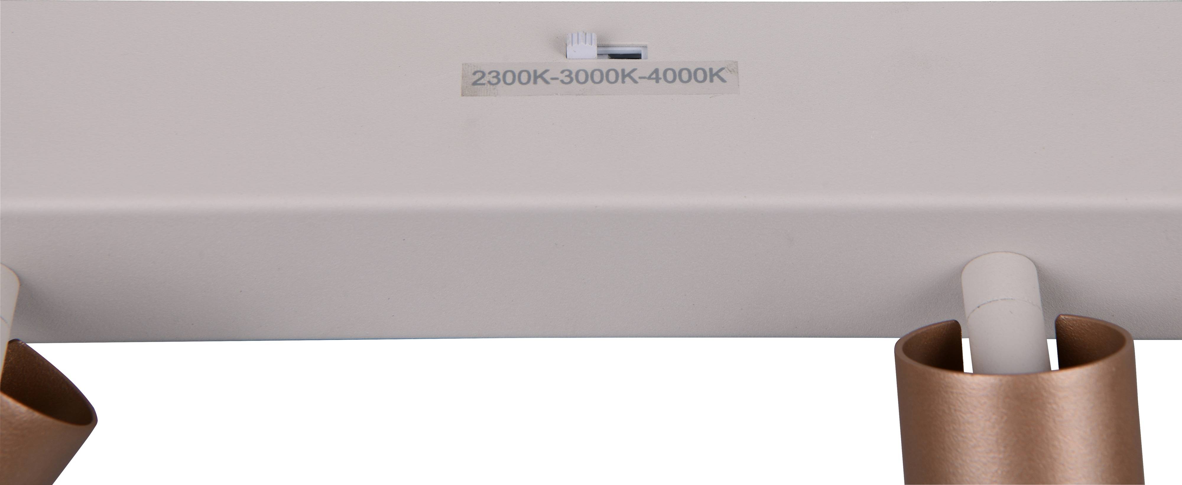 TRIO LED-Spotleuchte AMBALA, 849210465, 4-fach, 4x 5 W, 4x 500 lm, coffee