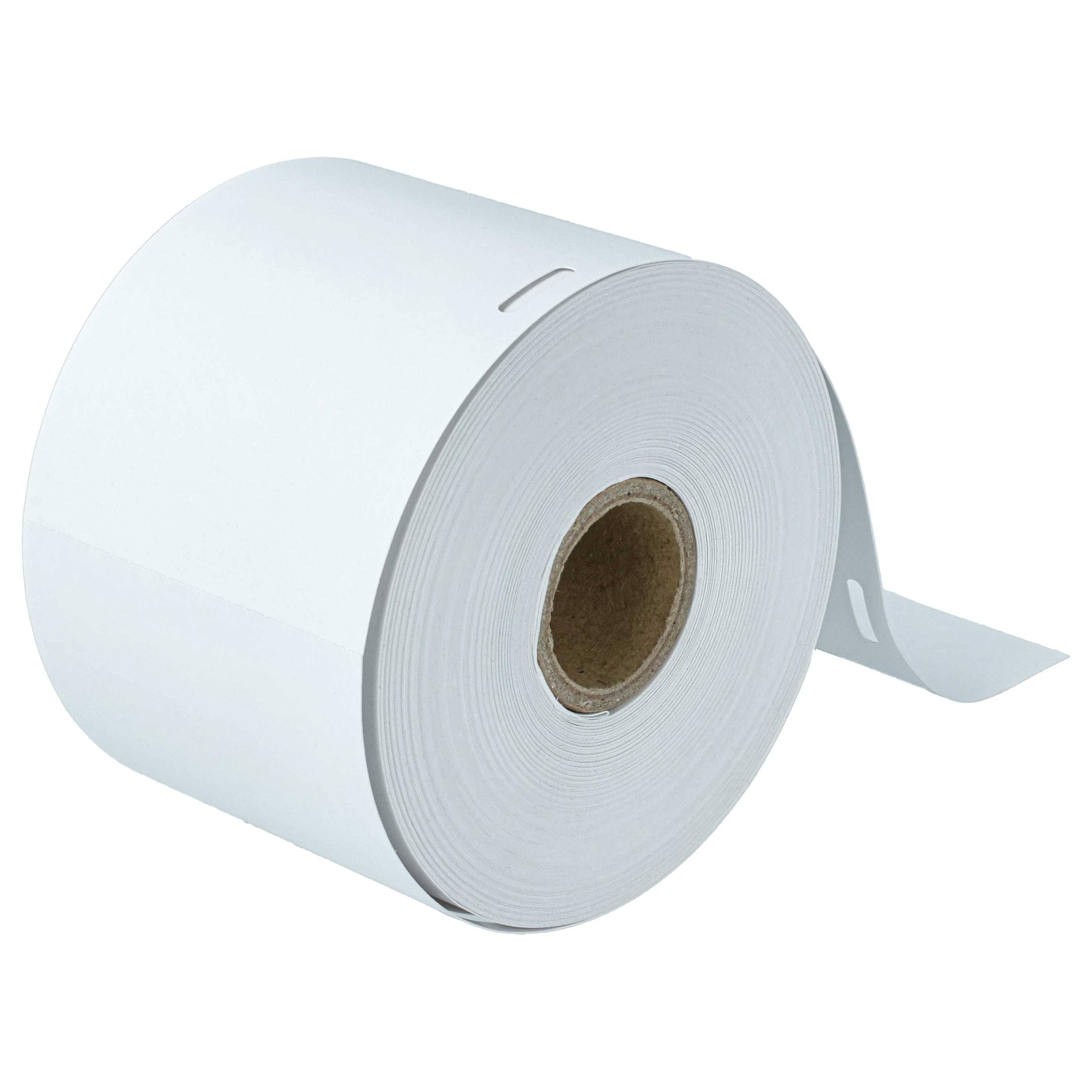 vhbw 10x Etiketten-Rolle (250 Etiketten) Ersatz für Dymo S0929110 | Etiketten-Drucker, 62mm x 106mm