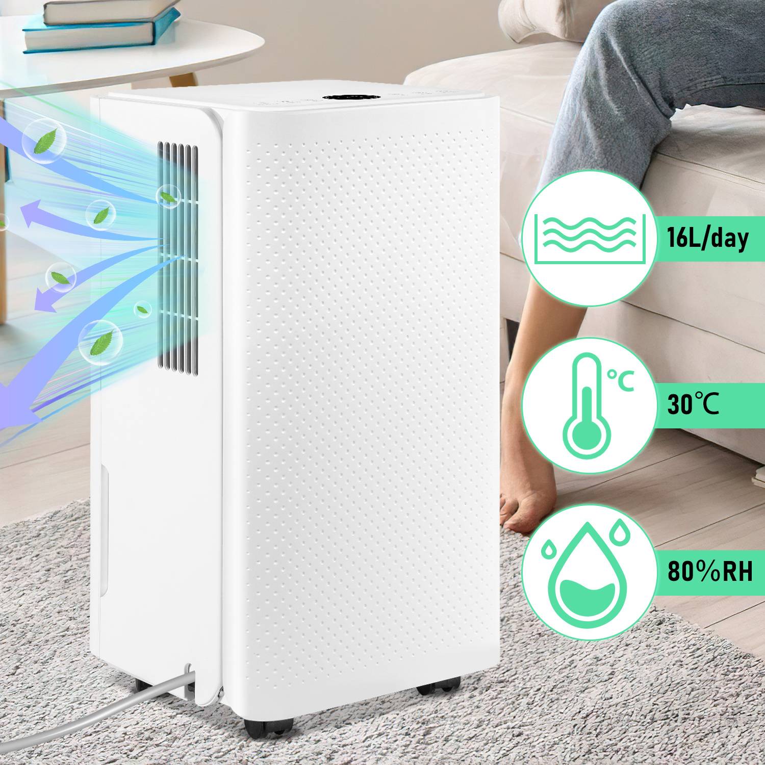 Weißer tragbarer Luftentfeuchter entfernt feuchte Luft im Wohnzimmer; Seitensymbole zeigen 16L/Tag, 30°C und 80% relative Luftfeuchte.