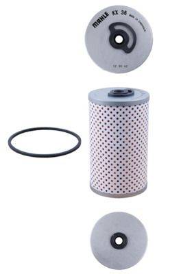 Mahle KX36D Kraftstofffilter
