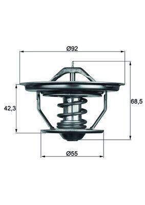 Mahle TX3579 Thermostat, Kühlmittel