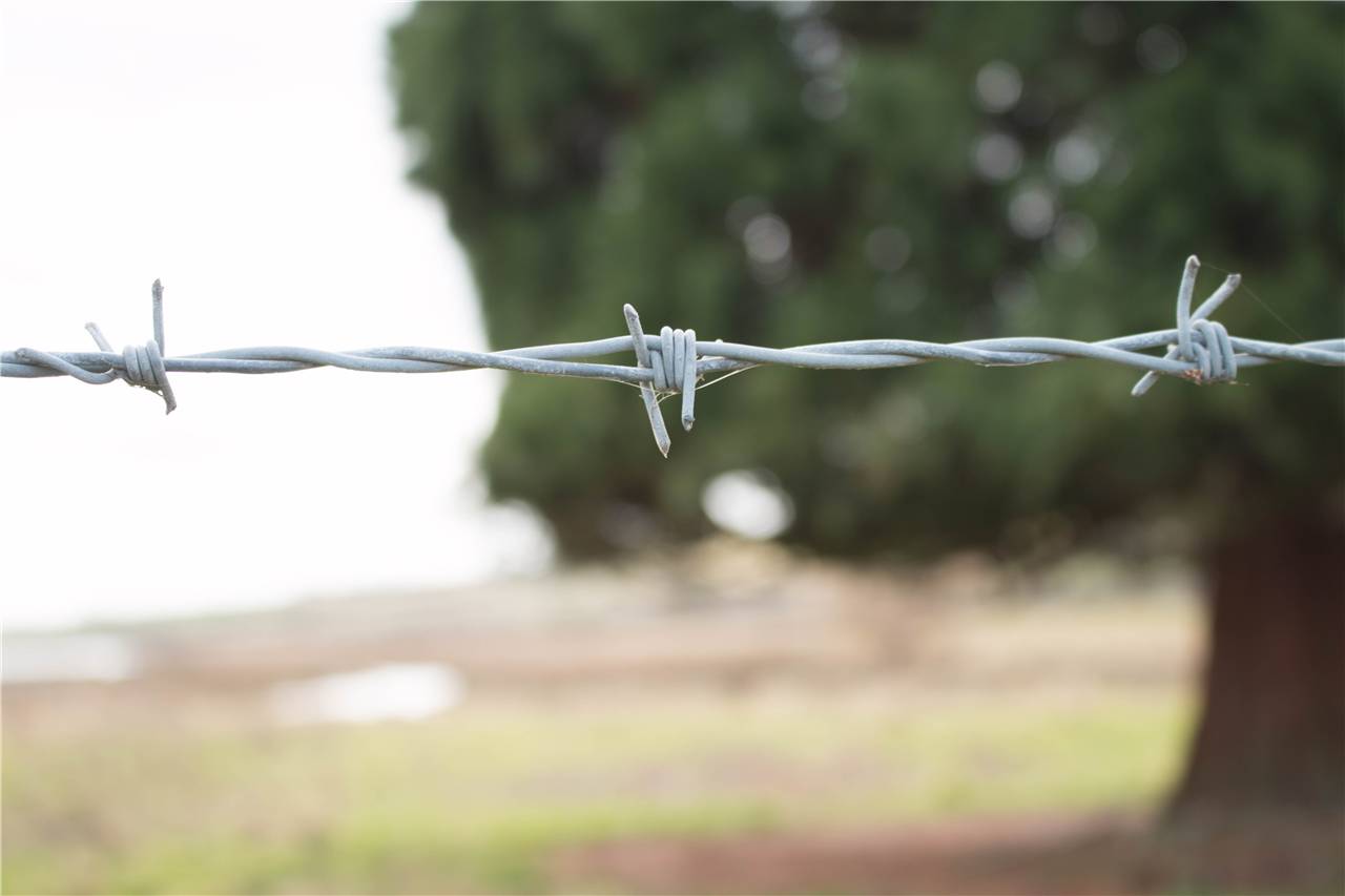 Schake 301405ST Stacheldraht Erdnagel Ø14mm, Länge: 500mm