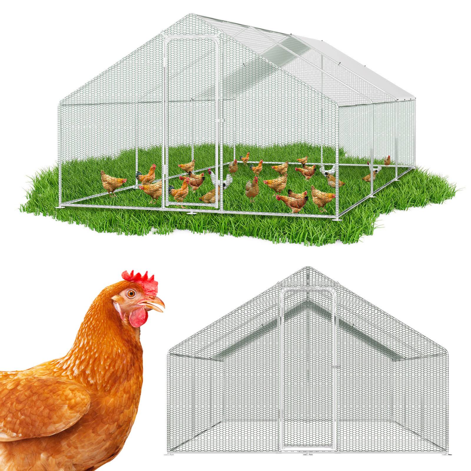 Drahtmaschendraht-Hühnerstall auf Gras mit Hennen im Inneren, plus eine Nahaufnahme einer Henne und Vorderansicht des Stalls.