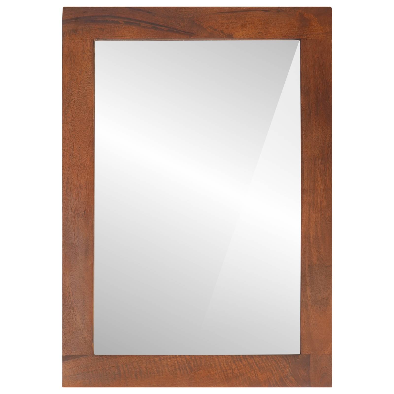 vidaXL Spiegel Braun, Silber 50 x 2,5 x 70 cm Massives Mangoholz, Glas