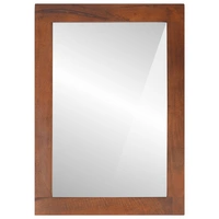 vidaXL Spiegel Braun, Silber 50 x 2,5 x 70 cm Massives Mangoholz, Glas vidaXL Spiegel Braun, Silber 50 x 2,5 x 70 cm Massives Mangoholz, Glas