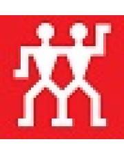 Zwilling Heißluftfritteuse 6 L schwarz Wasserkocher Schwarz