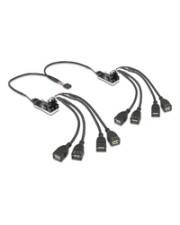 Delock 8 Port USB 2.0 Hub