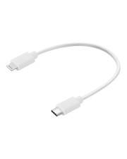 Sandberg - Lightning-Kabel - 24 pin USB-C männlich zu Lightning männlich