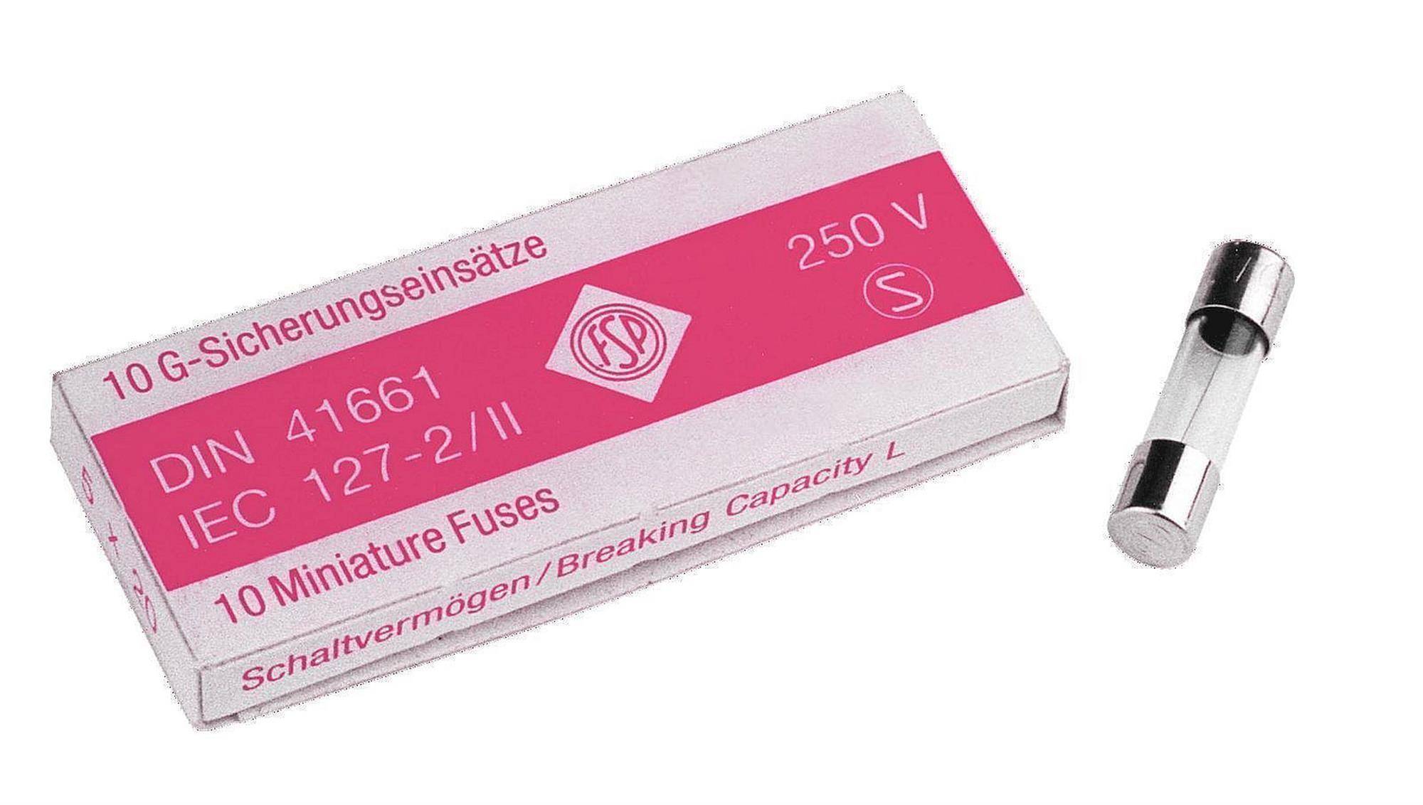 Eine Schachtel mit Miniatursicherungen mit der Bezeichnung „250 V