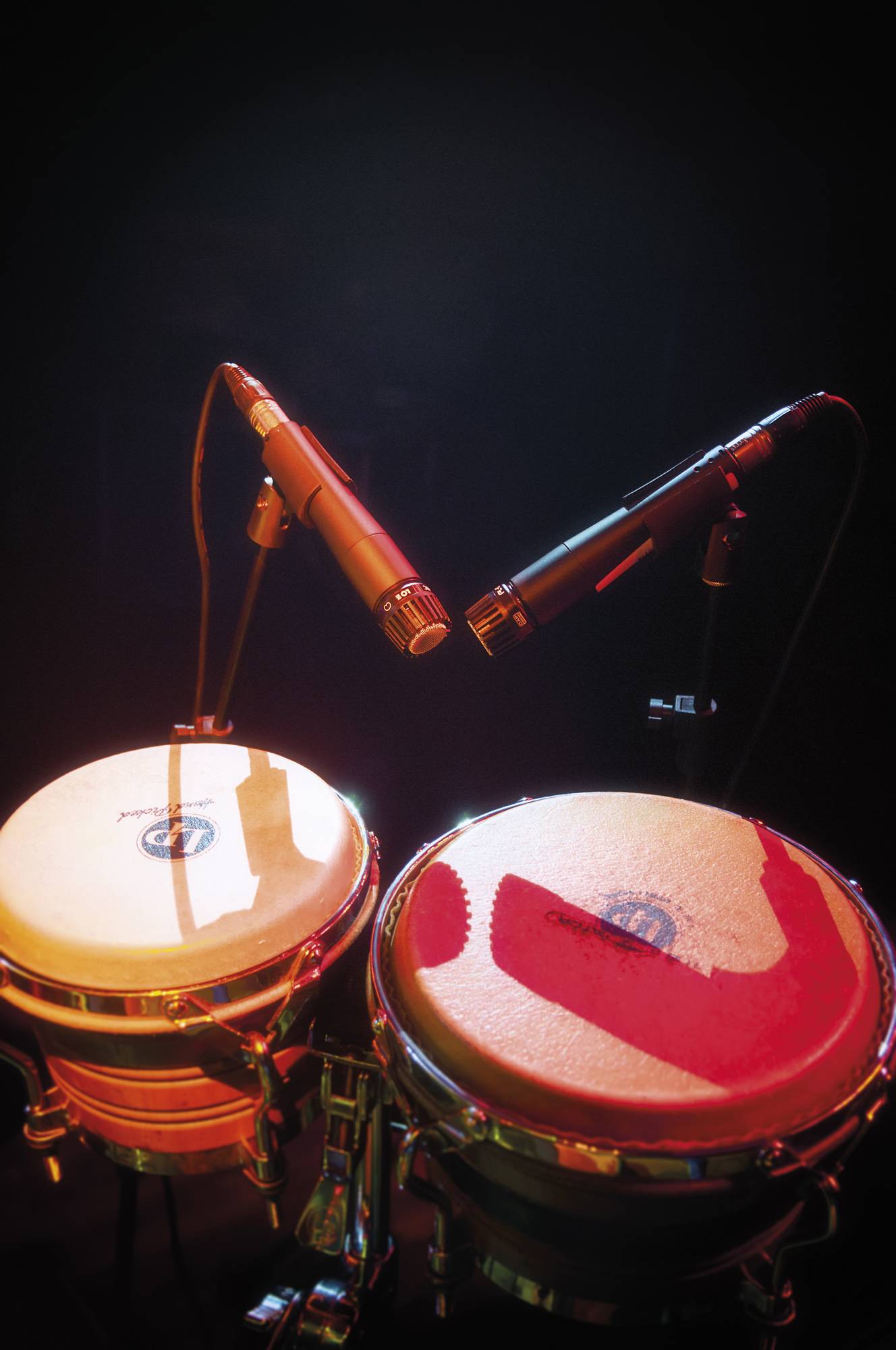 DAP PL-07 Dynamisches Instrumentenmikrofon mit Nierencharakteristik - schwarz