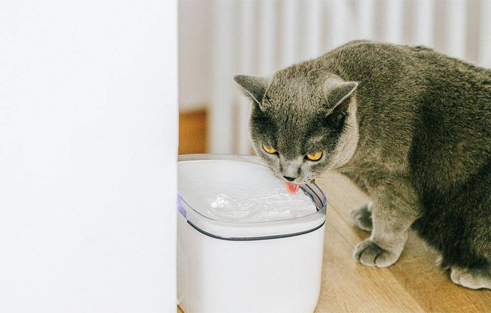 Ersatzfilter für Petoneer Smart Pet Fountain mini (2 Stück)